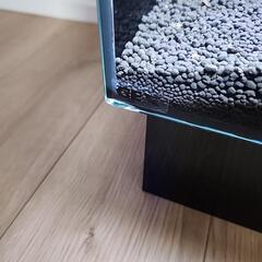 水槽  グラステリアアグスの画像