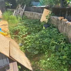 庭仕事