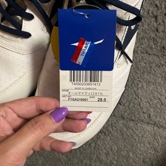 安全靴👟MIZUNOの画像