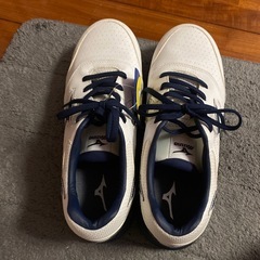 安全靴👟MIZUNOの画像