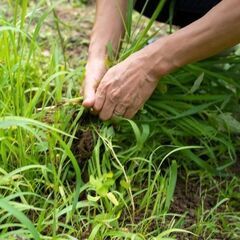 🏠 お庭の草刈り・草抜き 🏠