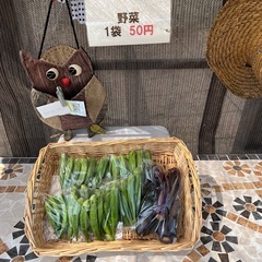 (直売所)9/4 野菜50円