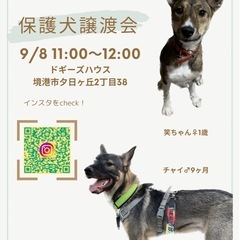 譲渡会（保護犬）