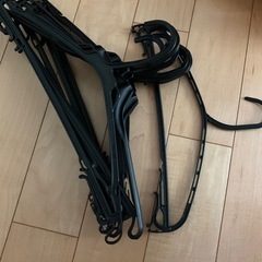 ハンガー10本の画像