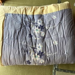 綿布団　残り2枚！
の画像