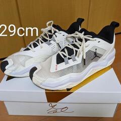 29cm ジョーダン ワン テイク 4 PF NIKE バッシュ