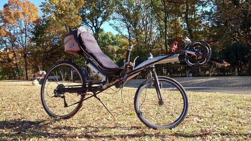 リカンベント自転車 Optima Lynx リアサス 20/26インチ