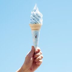60歳以上の方を対象としたシニア割を実施します！ - その他