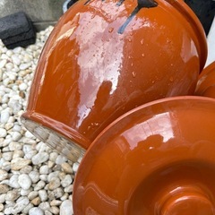 飲食物容器の画像