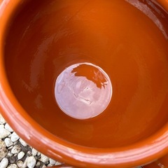 飲食物容器の画像