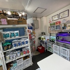 ペット用品店でのお仕事です！の画像