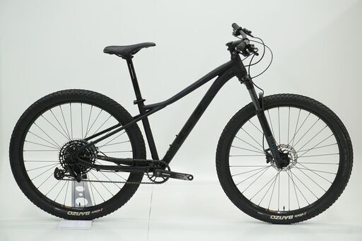 GT 「ジーティー」 AVALANCHE EXPERT 29' V2 2022年モデル マウンテンバイク / IT8D5RO8815C