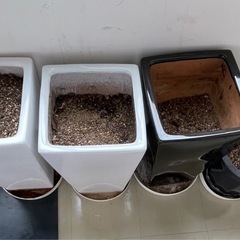植木鉢4個の画像