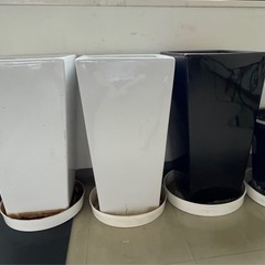 植木鉢4個
