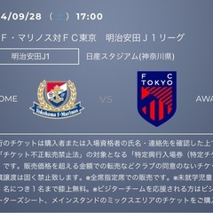 マリノスvsFC東京ペアチケット