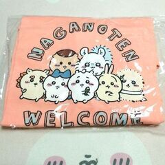 ナガノ展 Tシャツの画像