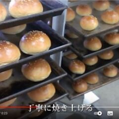 写真5枚から動画CMつくります！ - 横浜市