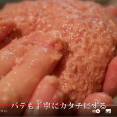 写真5枚から動画CMつくります！ - 手伝いたい/助けたい