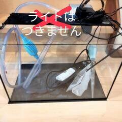 熱帯魚水槽飼育セット！（ライトなし）　水槽　熱帯魚飼育グッズ　ア...