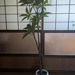 【10/4受け渡し予定】ニトリ　フェイク観葉植物