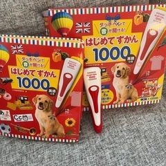 はじめてずかん　1000