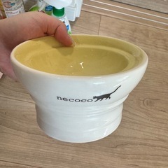 猫　皿