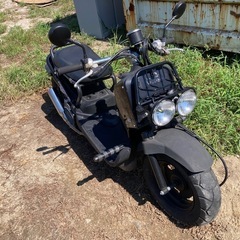 現地確認早いもの順　ホンダ　ズーマー　50cc 　原付