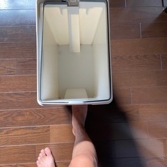 ゴミ箱　の画像