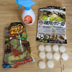 【無料】カブトムシのゼリーの画像