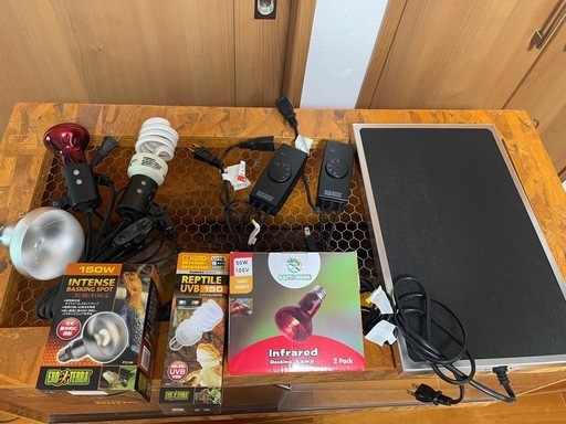 爬虫類 ゲージ 飼育セット サーモ 電球 全て付属済み