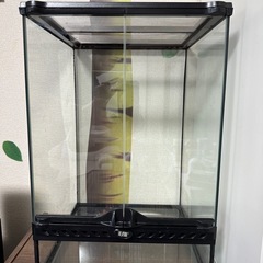 GEX グラステラリウム 3040 爬虫類ケージ