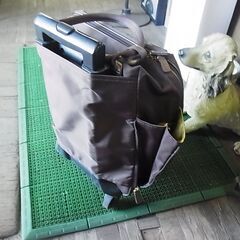 閉店セール中につき、通常特価2,178円より30％引の1,524円!　ACE　エース　Bon Cadeau　ボンカドゥ　キャリーバッグ　キャリーケース　の画像
