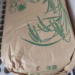 令和5年産   キヌヒカリ   30kg