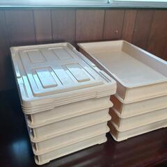 プラスチックケース🥳