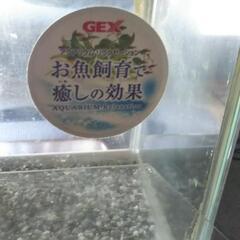Gex 60cm 水槽 薄型 ６０x２５x１７cmの画像