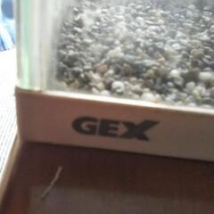 Gex 60cm 水槽 薄型 ６０x２５x１７cmの画像