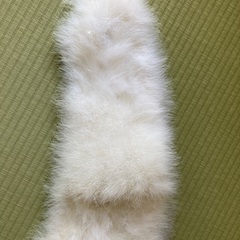 成人式用ストールの画像