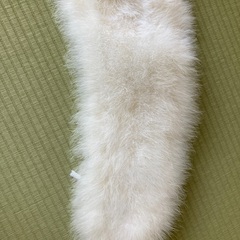 成人式用ストールの画像
