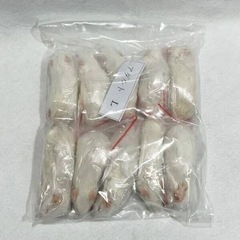 Amazon | ZAZOO 冷凍マウス アダルトLL 10匹 35.1〜40g 約9.5cm