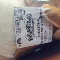 新品☆【プライズ景品】わんだふるぷりきゅあ！ めちゃもふぐっとぬいぐるみ～犬飼こむぎ～ の画像