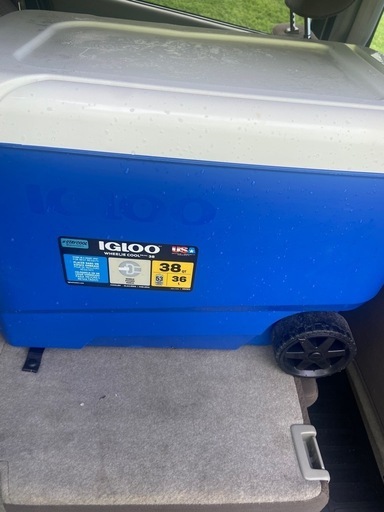 急募！！IGLOO クーラーボックス