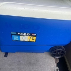 急募！！IGLOO クーラーボックス