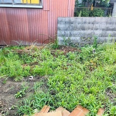 家庭菜園用に畑貸します。水道、駐車場、倉庫アリ