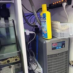 海水魚　リーファー350 水槽　内容説明更新してます！の画像
