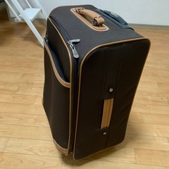 キャリーバック3泊4日程度の画像