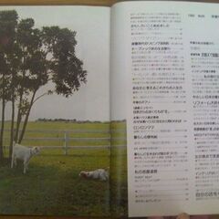 サブカルチャー★1980年代にタイムスリップ！私の部屋No.65（早春号）婦人生活社/1983年カウンターカルチャー誌◎現品のみ売切れ御免★の画像