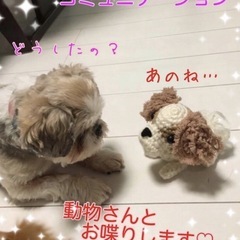 アニマルコミュニケーションを学んでみませんか♡入門講座【初めの一歩】の画像