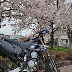 (終了)カワサキ Dトラッカー250の画像