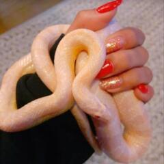 新しい飼い主様が見つかりました️⭕️