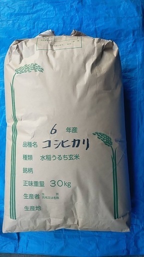 ⑤令和6年度　千葉県産新米　コシヒカリ　ふさおとめ　玄米　30kg 　各1袋ずつ